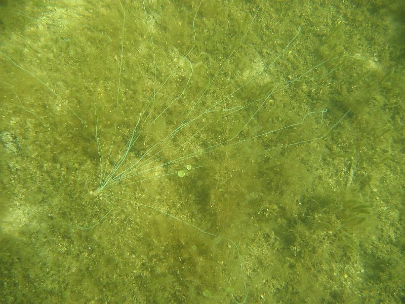 Coll USA 006.JPG